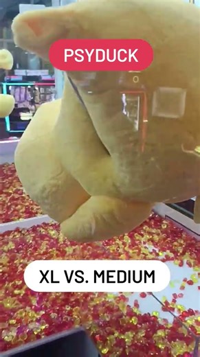 XL vs Medium
