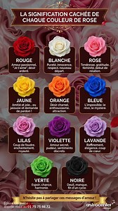 🌹 Langage des Fleurs : La signification cachée de chaque couleur de rose Vous voulez offrir des fleurs mais vous avez peur de faire un faux pas ? Découvrez la signification précise de chaque couleur de rose avant de choisir votre bouquet ! De la passion de la rose rouge à l'amitié de la rose jaune, en passant par le mystère de la rose bleue, apprenez à décoder le langage des fleurs. ❤️ Rouge : Amour passionnel, "Je t'aime", désir ardent. 🤍 Blanche : Pureté, innocence, respect, nouveau départ. 