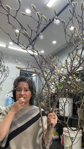 Tiêt Lan Anh on Reels