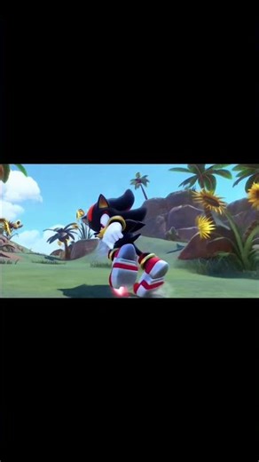 Sonic And Shadow Running Animation