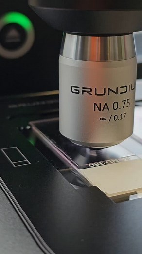 Happy Monday! Here’s a close-up look at the new Ocus® M 40 microscope scanner in action. As the stage moves, the objective precisely focuses on each field of view individually, then seamlessly stitches the tiles together – creating one beautifully detailed, high-quality image at 40x magnification. Speed, precision, and clarity – all in one smooth workflow. #DigitalPathology #Microscopy #Innovation | Grundium