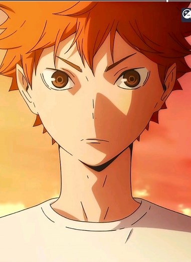 Hinata Shoyo: Celebrating Karasuno's Star Player