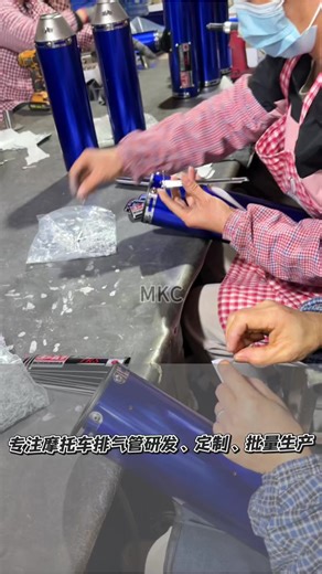 Mass Customization of Motorcycle Exhaust Pipes