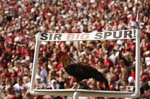 The University of South Carolina changing its mascot’s name over rooster care dispute