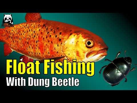 Russian Fishing 4 - Yama River - Float Fishing with Dung Beetle, 3 Match Rods for Char, Salmon #rf4