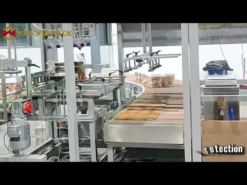 WIN-WIN PACK Pick and Place Case Packer for Small Pails | Servo Case Packing #casepacker