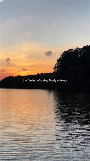 The feeling of spring finally arriving 🤍 #joy #spring #gratitude #sunset #happiness
