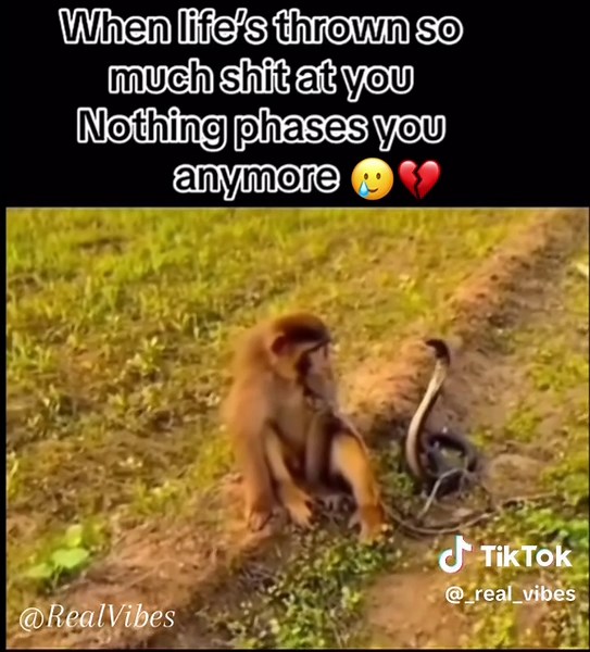 #tiktokviral #edit #creatortools #monetizartiktok #mentalhealth #anxiety #reality #zedtiktok🇿🇲🇿🇲 #💔 #heartbroken #lonely #pain #sadstory #reality