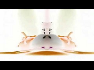 VeggieTales Theme Song 1998 4K HD in Angry effect