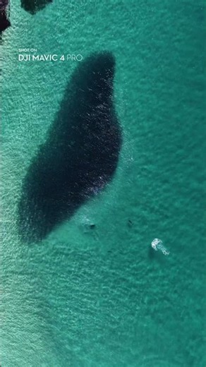 A catch worth circling once | DJI Mavic 4 Pro
