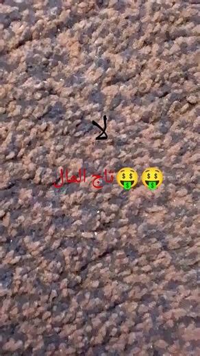 ١١ مارس ٢٠٢٦