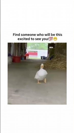 Find someone who will be this excited to see you! 😂❤️‍🩹