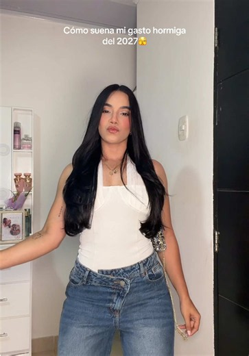 Don Omar Tour 2027: Cómo suena mi gasto hormiga para el concierto