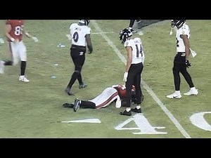 Chris Godwin Injury Vs Baltimore Ravens 2024