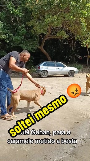 Gohan e o Caramelo: Brincadeira Matinal no Parque