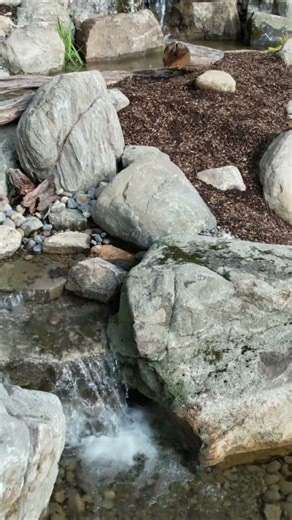 Backyard Koi Pond Design Inspiration #KoiPond #OutdoorLiving #WaterFeatureDesign #shorts