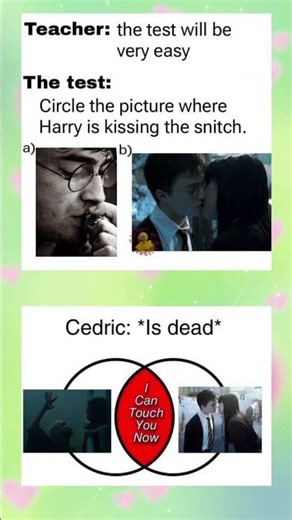 Harry Potter meme world-“When the ‘Easy Test’ Turns Into a Harry.... 😂⚡” #memes #shorts #harrypotter