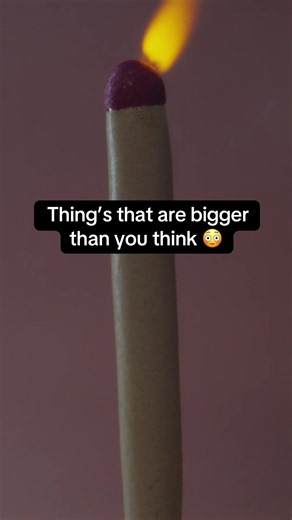 Things That Are Bigger Than You Think — Surprising Size Comparisons