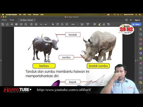 Sains Tahun 1 - Kepentingan Bahagian tubuh Haiwan