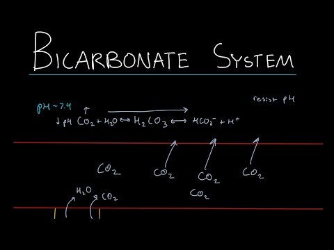 Bicarbonate buffer system for the MCAT