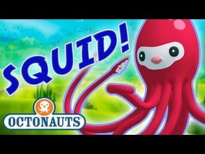 Octonauts - Learn about Squid & Octopuses | Cartoons for Kids | Underwater Sea Education