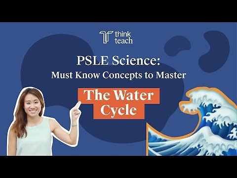 PSLE Science: Must Know Concepts to Master The Water Cycle