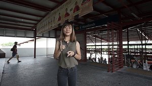 16K views · 260 reactions | #AllAboutBuses Something special is happening at Woodlands Temporary Bus Interchange tomorrow. Wondering what it is? Watch this video as Emily shares this “secret”! #Shhh | SMRT | Facebook