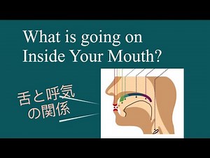 口の中で何が起こっている？英語子音を作るメカニズム
