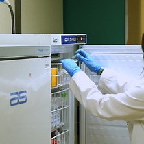 Video: Immunoglobulin Gene Sequence Analysis In Chronic Lymphocytic Leukemia: From Patient Material To Sequence Interpretation