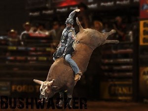 Bushwacker highlights