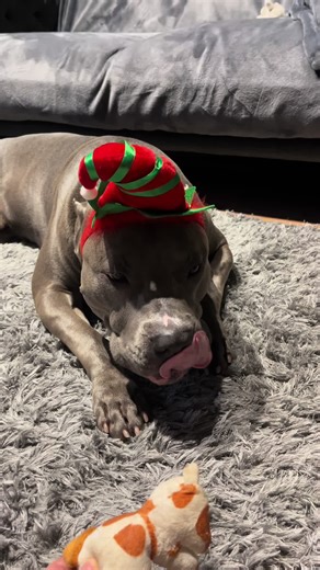 #ambully #kevin_cooper