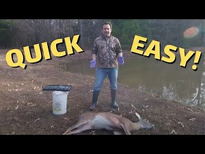 HOW TO Field Dress a Deer | Quick & Easy!!!