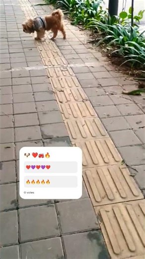 💜🔥 #shorts #trending #trendingshorts #viralvideo #viral #tamil #love #shortvideo #youtubeshorts