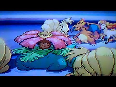 Pokémon Black 2: All Kanto Gym Leader Battles!