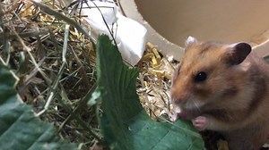 Tierheim Köln-Dellbrück on Reels