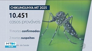 Registros de dengue e chikungunya disparam em Mato Grosso   