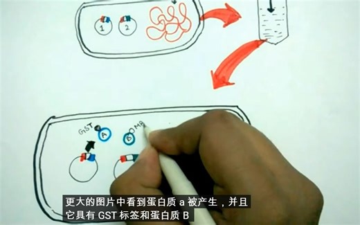 GST Pull-down油管搬运翻译版本