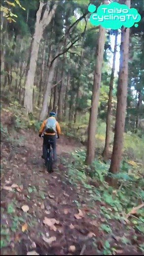 E-マウンテンでダウンヒル！標高709mから一気に下ります 青森旅行3日目最終日 マウンテンバイク 大鰐温泉スキー場 Panasonic XEALT 阿闍羅山大権現 電動アシスト自転車