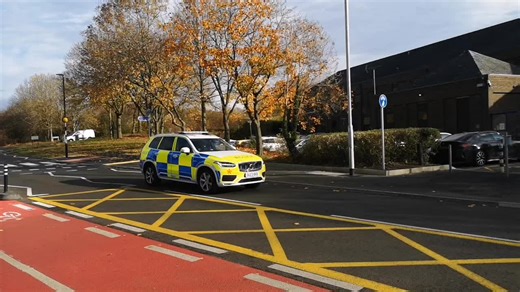 Nationwide Blues 🚔 (@nationwide_blues)’s videos with Domino - Jessie J