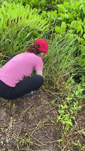 Amazing eel trapping technique with an unique survival skills 😱 #fishing | Animal Traps