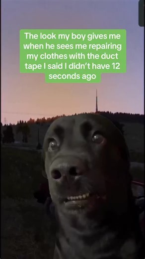 Clay on Instagram: "It’s my last roll 😂 drip or drown #dayz #dayzstandalone #dayztips #dayzkill #dayzcommunity #dayzgame #dayzxbox #dayzfanpage #dayzmemes #dayzgamers #dayzfunnymoments #dayzclips #dayz #survival #survivalgames #dayzraid #gamer #gamingmemes #game #xbox #dayze #dayzrp #sniper #sniping #snipingclips #vxkclay #gamingontiktok #talentfordayz"