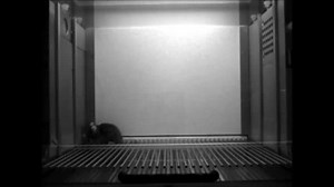 File:Tracking-the-Time-Dependent-Role-of-the-Hippocampus-in-Memory-Recall-Using-DREADDs-pone.0154374.s003.ogv - Wikimedia Commons