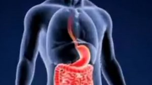 Simulation shows timeline of what happens to your body if you stop drinking