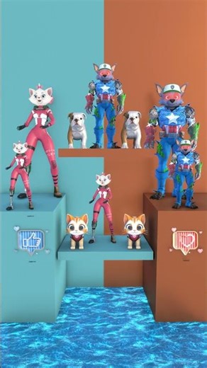 WHAT EXERCISE SHOULD WE DO?#dog #cat #funny #shots