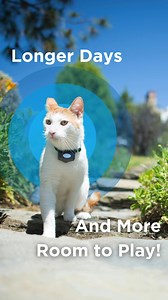 Our best-selling Invisible Fence® Brand system, Boundary Plus® Wired, maximizes your yard space, giving you 30% more room to play. | Invisible Fence Brand | Facebook