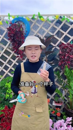 Top Tips for Propagating Gardenias Like a Pro