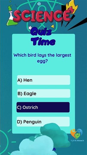 Science Quiz -Which bird lays the largest egg? #sciencequestions #sciencequiz #science #quiz