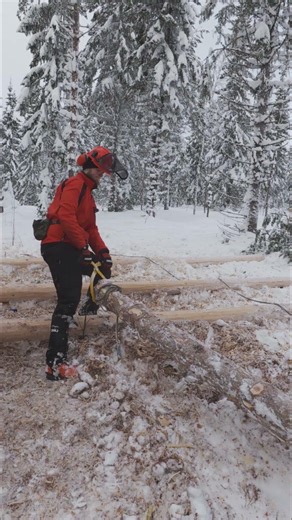 Using and electric winch to pull logs alone in the wilderness for a cabin