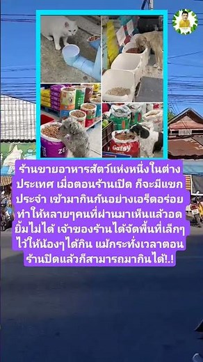 ร้านขายอาหารสัตว์ใจดี #อาหารสุนัข #อาหารแมว #อาหารสัตว์ #สัตว์ #สุนัข #หมา #แมว #สัตว์โลกน่ารัก
