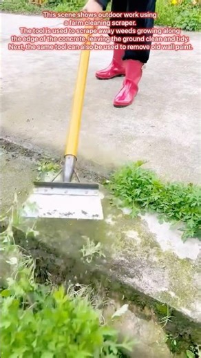 Magic tool Cleans Weeds and Walls Instantly! 万能ツ－ル✨ #work #cleaning